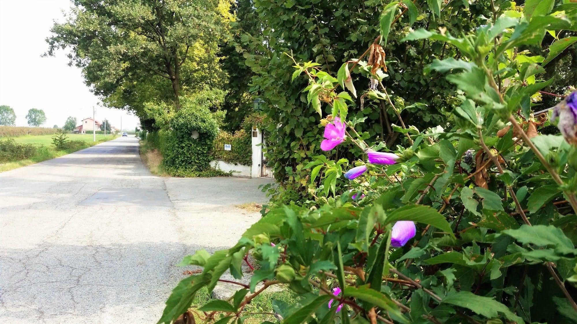Villa Maria Sole Revello エクステリア 写真